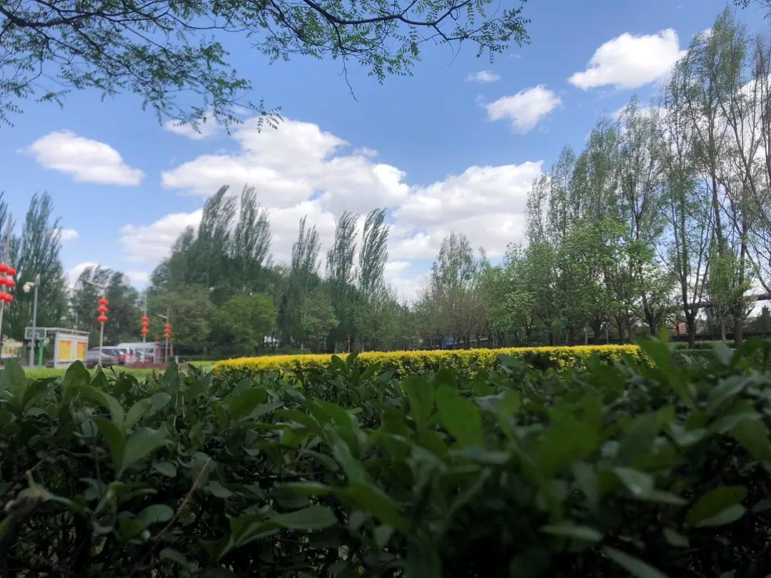 1592354548361.png image.png