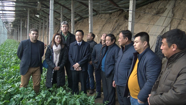 1630649543671.png 1630649543671.png